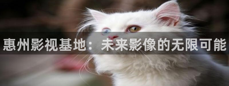 97国产午夜影院