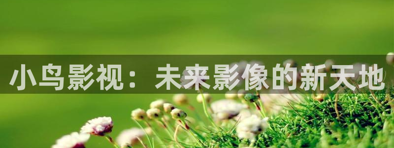 电影97网：小鸟影视：未来影像的新天地