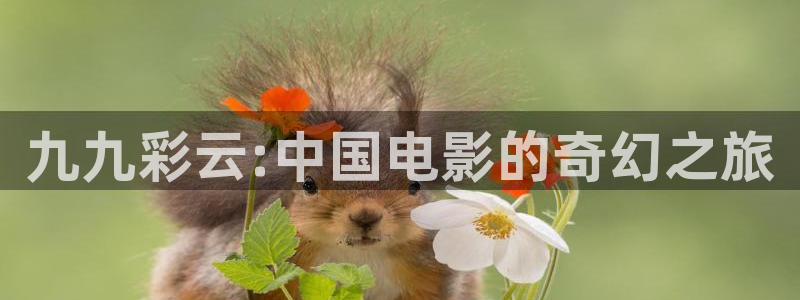 97影院理论在线观看：九九彩云:中国电影的奇幻之旅
